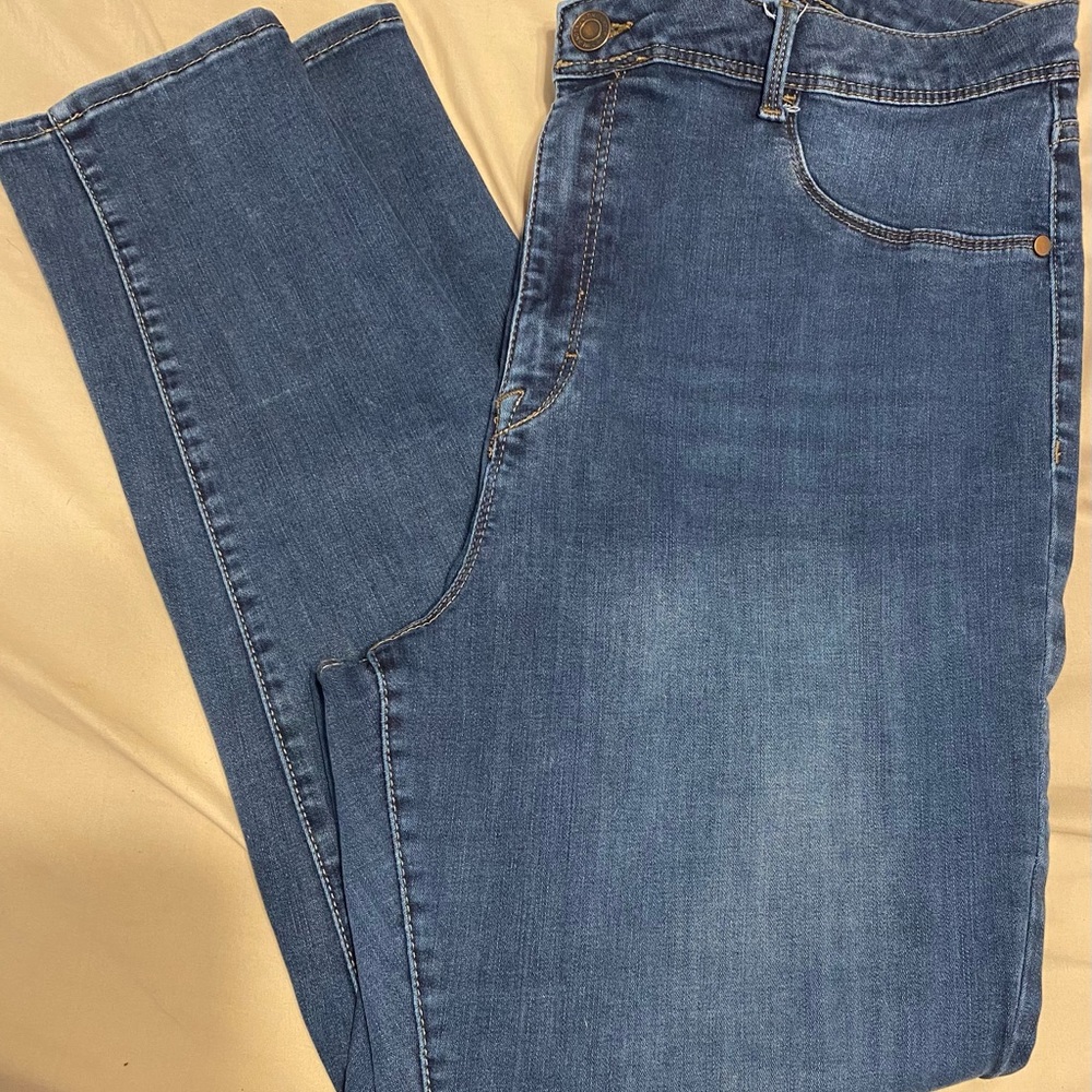 Time and Tru high rise jeggins size 20